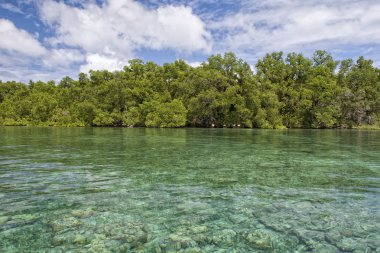 siladen turkuaz tropik cennet Adası
