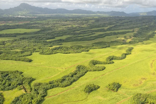 Letecký pohled na Hawaii kauai pole — Stock fotografie