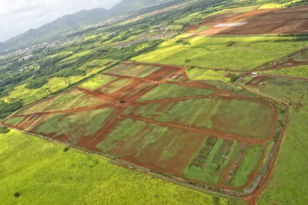 Hawaii kauai fields aerial view — Stock Photo, Image