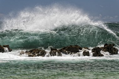 美しいフレンドリーな女の子ポインティング転送