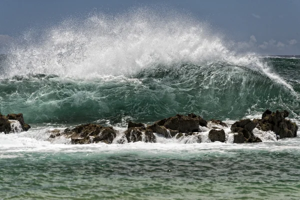 美しいフレンドリーな女の子ポインティング転送