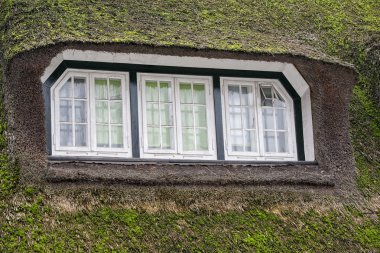 çim pencere hobbit film tarzı