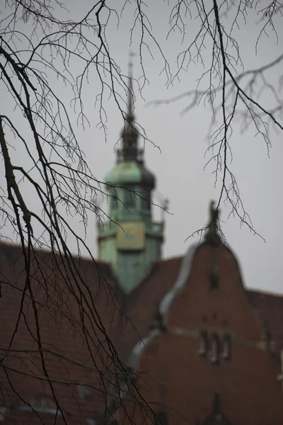吕贝克教会铜屋顶 — 图库照片
