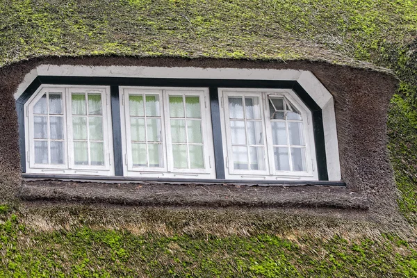 Травяное окно в стиле хоббита — стоковое фото