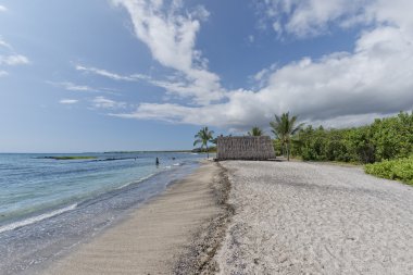 plaj Hawaiian hut