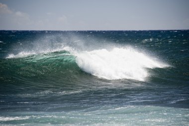 美しいフレンドリーな女の子ポインティング転送