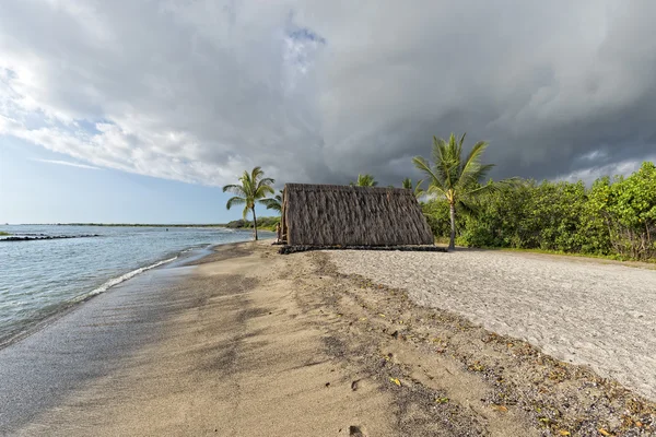 Cabane hawaïenne sur la plage — Photo