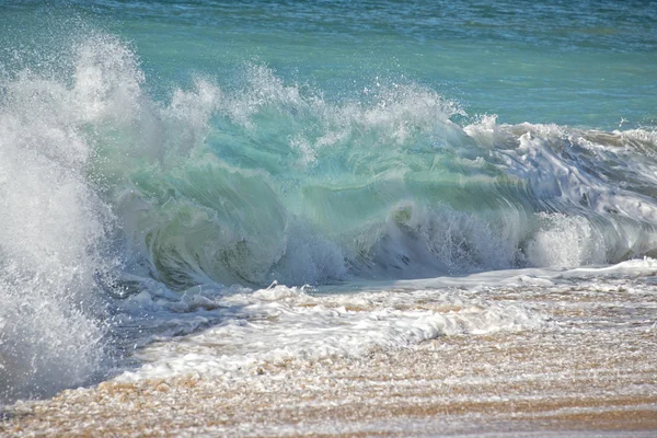 Тихоокеанские волны на берегу — стоковое фото