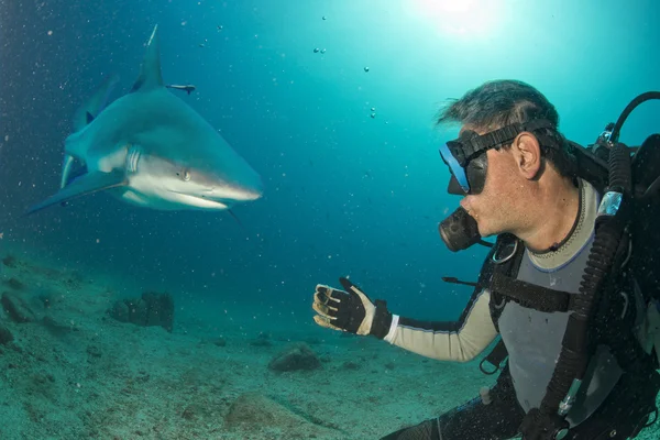 Unterwasser-Selfie mit grauem Hai bereit zum Angriff — Stockfoto