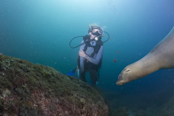 Beautiful blonde girl and sea lion underwater — Stock Photo, Image