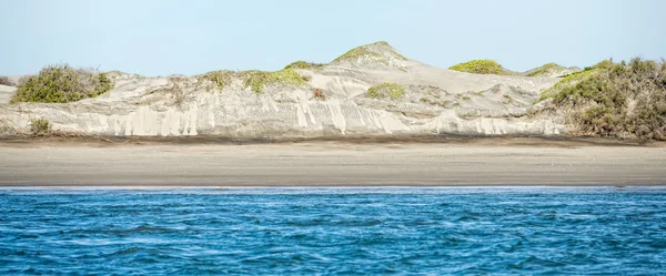 Plaża, wydmy — Zdjęcie stockowe