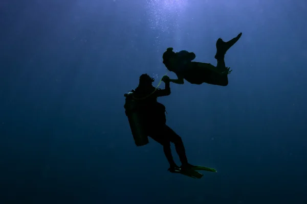 Mermaid meeting a diver underwater — Stock Photo, Image