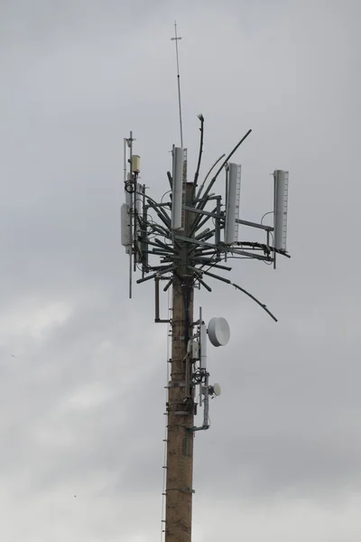Antena de comunicación tropical palmera —  Fotos de Stock