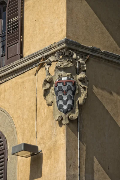 Palazzo pitti posto a firenze — Foto Stock