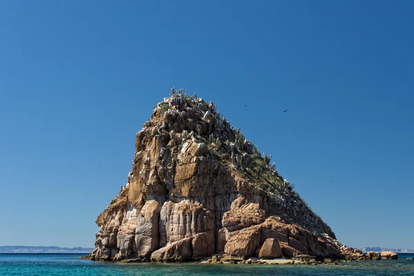 Baja california pobřeží skály a poušť — Stock fotografie