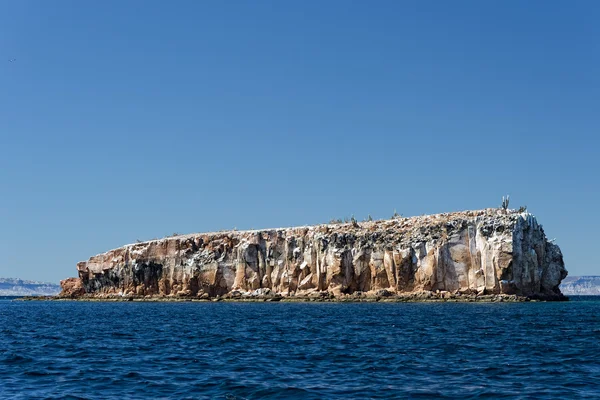 Baja california Sahil kayalar ve çöl — Stok fotoğraf