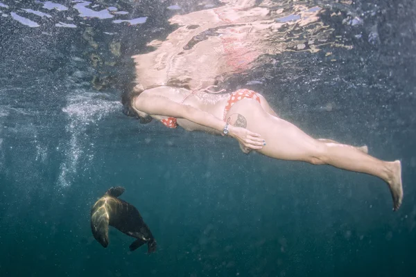 Schöne Mädchen und Seelöwe unter Wasser — Stockfoto