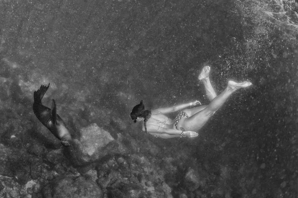 Bella ragazza e leone marino sott'acqua in bianco e nero — Foto Stock