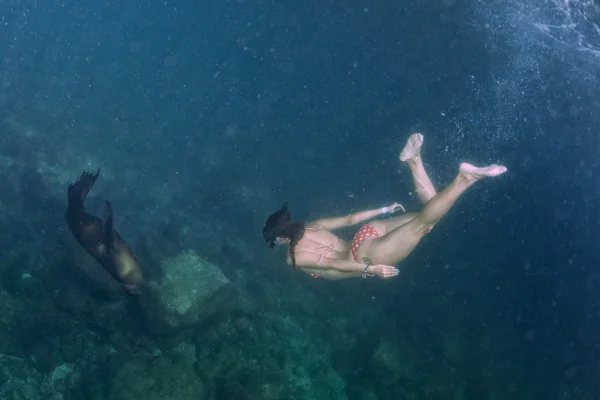 Hermosa chica y león marino bajo el agua —  Fotos de Stock