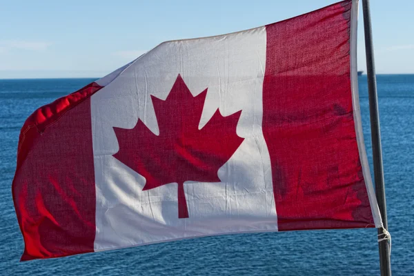 Kanadská vlajka u moře — Stock fotografie