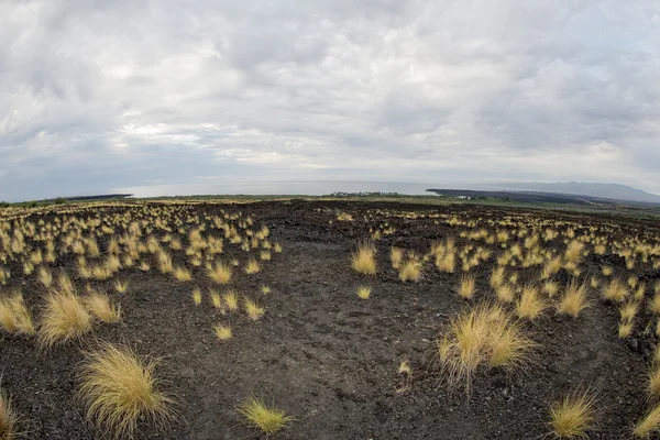 Grande isola hawaii lava e mare — Foto Stock