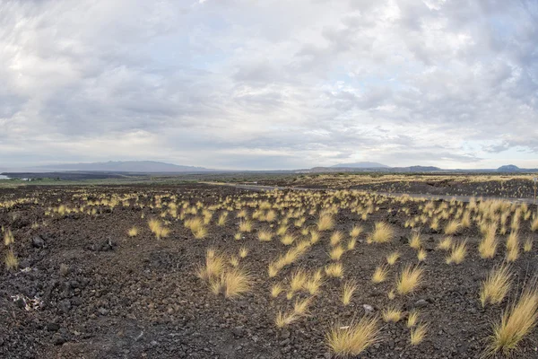 Big Island hawaii lav ve deniz — Stok fotoğraf