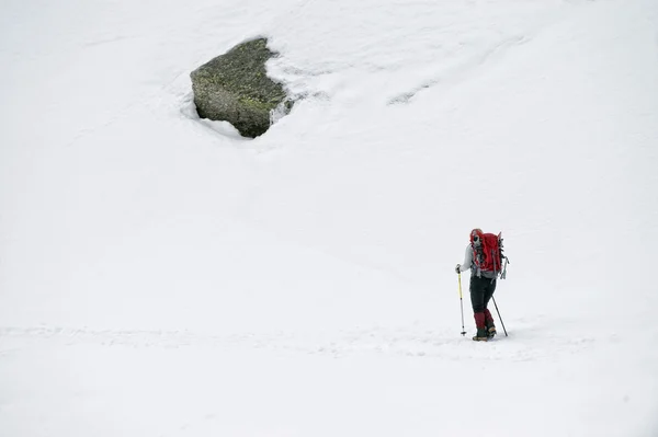 isolated snow shoe trekker