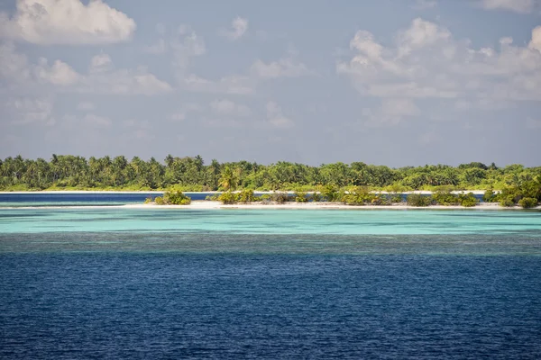 Maldives tropical paradise beach crystal water coconut tree island — стоковое фото