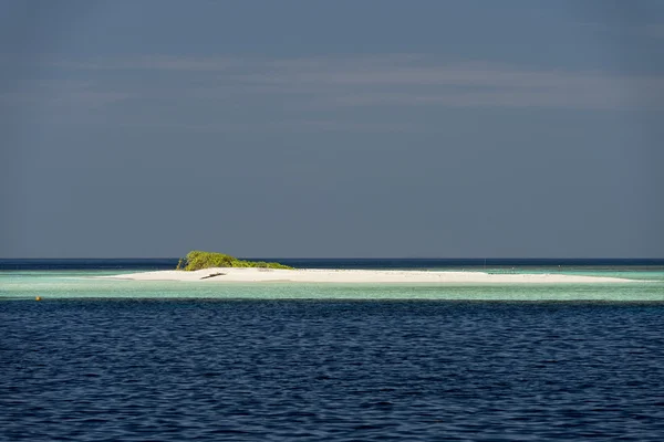 Maldives tropical paradise beach crystal water coconut tree island — стоковое фото