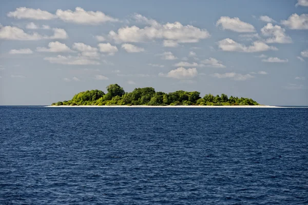 Maldives tropical paradise beach crystal water coconut tree island — Stock Photo, Image