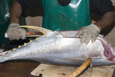 Male india fish market clipart