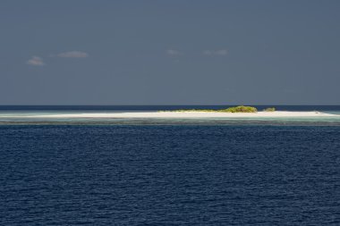 Maldivler tropik cennet plaj kristal su Hindistan cevizi ağacı Adası