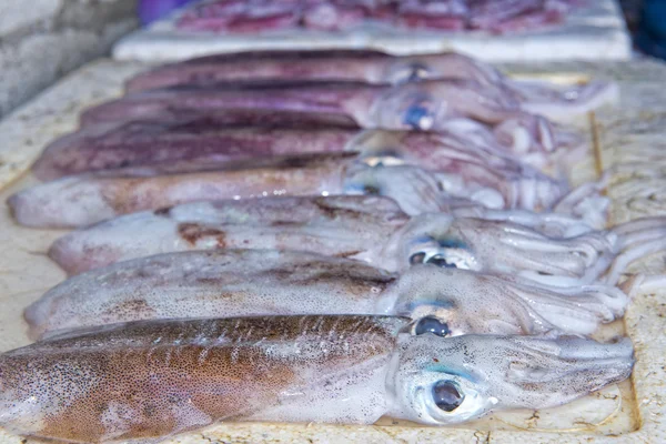 男性のインド魚市場 — ストック写真