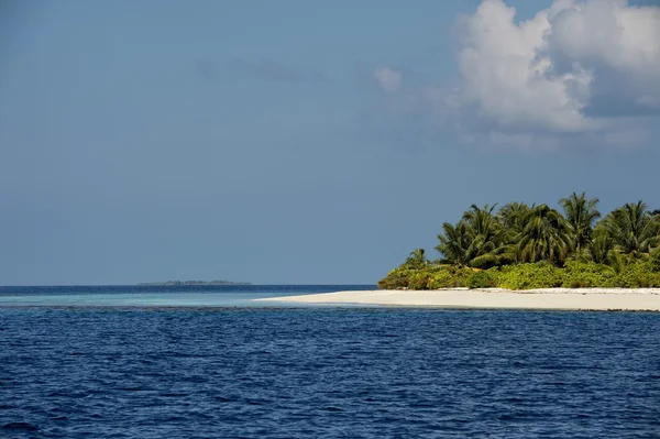 Maldiven tropisch paradijs strand kristal water kokosnoot boom island — Stockfoto