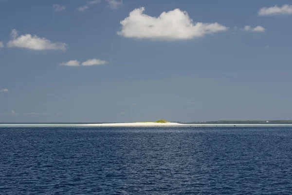 Maldivas tropical paraíso praia cristal água coco árvore ilha — Fotografia de Stock