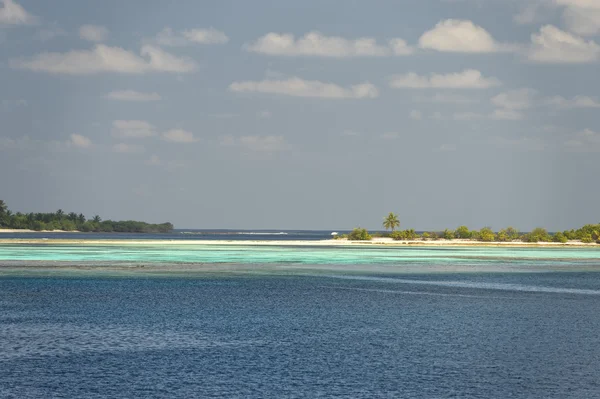 Maldivler tropik cennet plaj kristal su Hindistan cevizi ağacı Adası — Stok fotoğraf