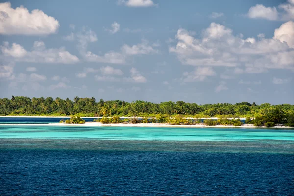 Maldives tropical paradise beach crystal water coconut tree island — стоковое фото