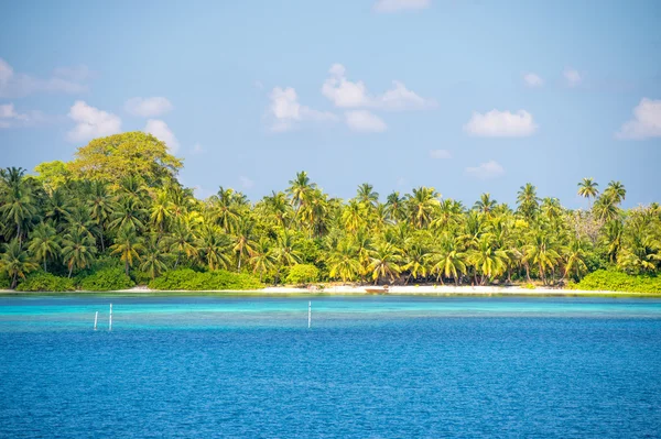 Maldives tropical paradise beach crystal water coconut tree island — Stock Photo, Image