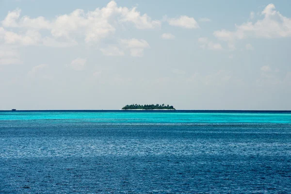 Maldives tropical paradise beach crystal water coconut tree island — стоковое фото