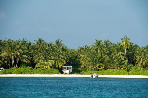 马尔代夫的热带天堂海滩水晶水椰子树岛 — 图库照片
