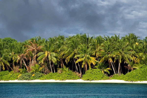 Malediven tropisches Paradies Strand Kristall Wasser Kokosnussbaum Insel — Stockfoto