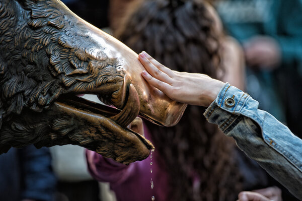 Hand touching fortune boar in Florence