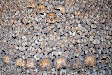 Paris catacombs kafatasları ve kemikleri