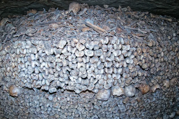 Catacumbas de París Cráneos y huesos —  Fotos de Stock