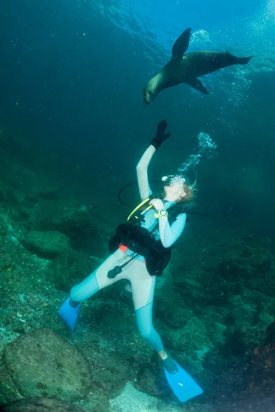 아름 다운 금발의 여 자가 수 중 바다 사자와 함께 연주 — 스톡 사진