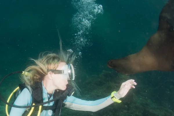 Hermosa chica rubia jugando con león marino bajo el agua — Foto de Stock