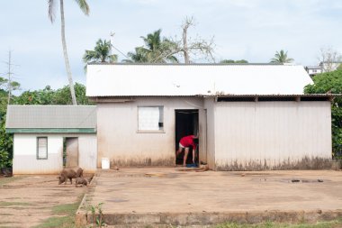 kulübe, gecekondu, Tonga, Polinezyası kulübede