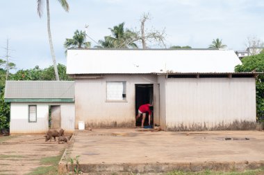 hovel, shanty, shack in Tonga, Polynesia clipart