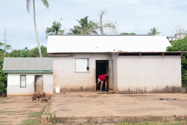 Hovel, shanty, shack in Tonga, Polynesia — Stock Photo, Image