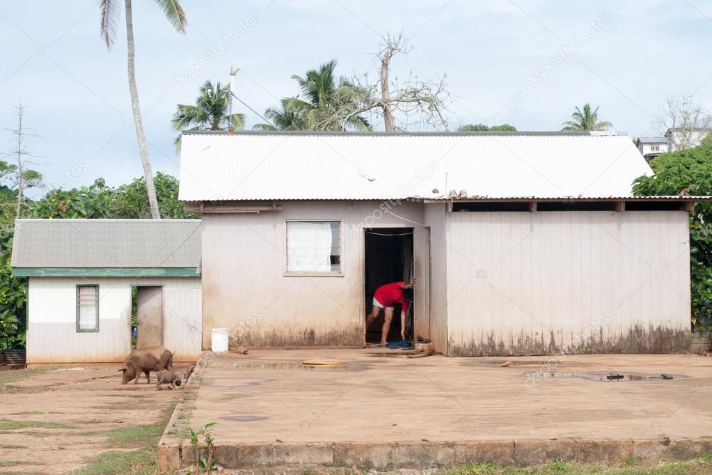 hovel, shanty, shack in Tonga, Polynesia